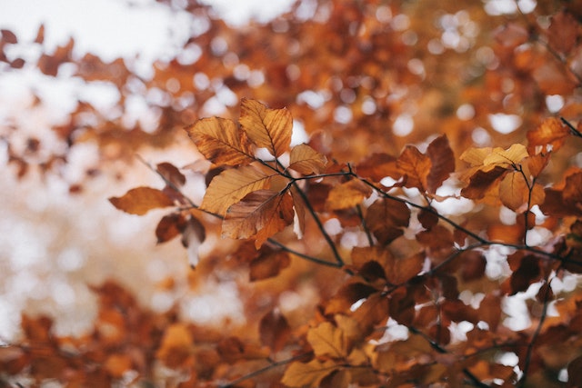 Cosa fare in autunno in Umbria le migliori attività da provare